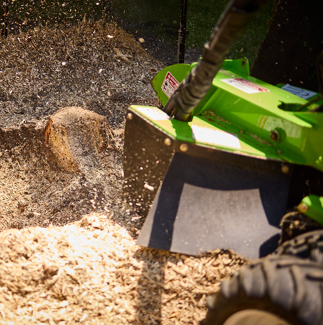 Professional stump grinding equipment used for complete root removal