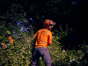 Redbird Services employee hauling a tree limb in Kansas City