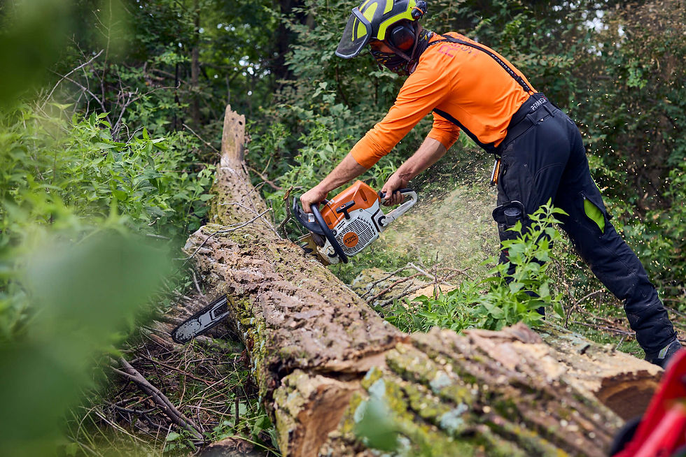Redbird Services employee sawing a fallen tree trunk after storm