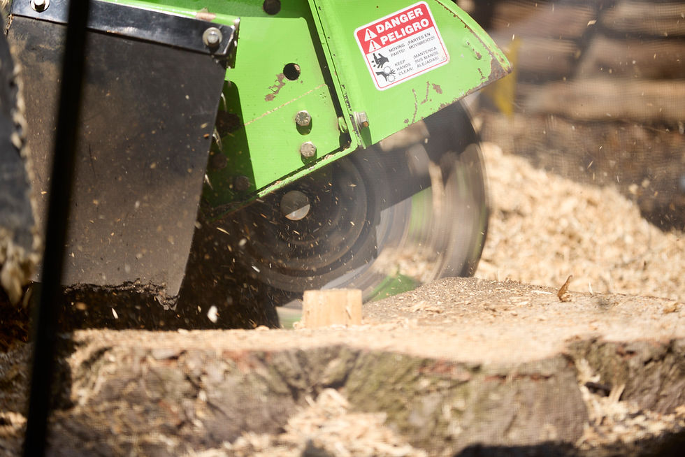 Professional stump grinding equipment used for complete root removal
