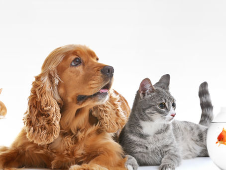 Why Each Bond Feels Different