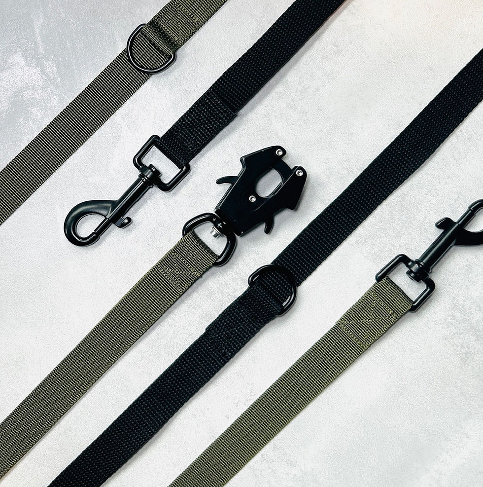 Why Choosing a Good Quality Dog Lead Matters: More Than Just a Walk in the Park