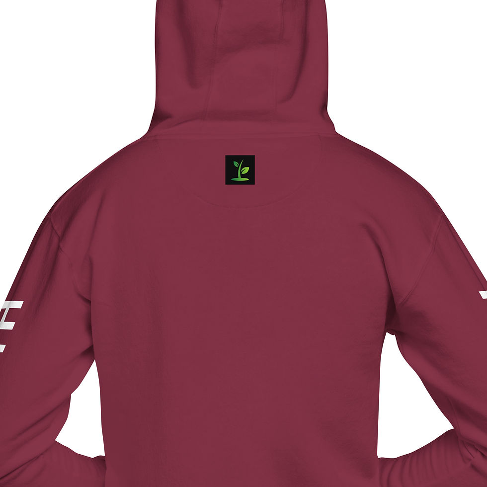 Thumbnail: TRUTH REVEALED Hoodie