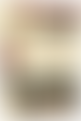 Cultural Backgrounds Study Bible