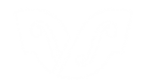 NTE (2).png