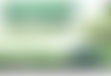 Chlorofillipt – duet na chłodne dni: płyn + tabletki do ssania (przewodnik Zakątku Zdrowia - Sklepu Zielarskiego w Krotoszynie)