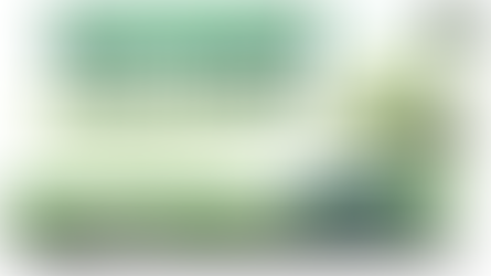 Chlorofillipt – duet na chłodne dni: płyn + tabletki do ssania (przewodnik Zakątku Zdrowia - Sklepu Zielarskiego w Krotoszynie)