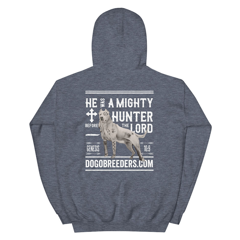 Thumbnail: Indian Dogo - Hoodie