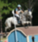 IMG_3718.jpeg