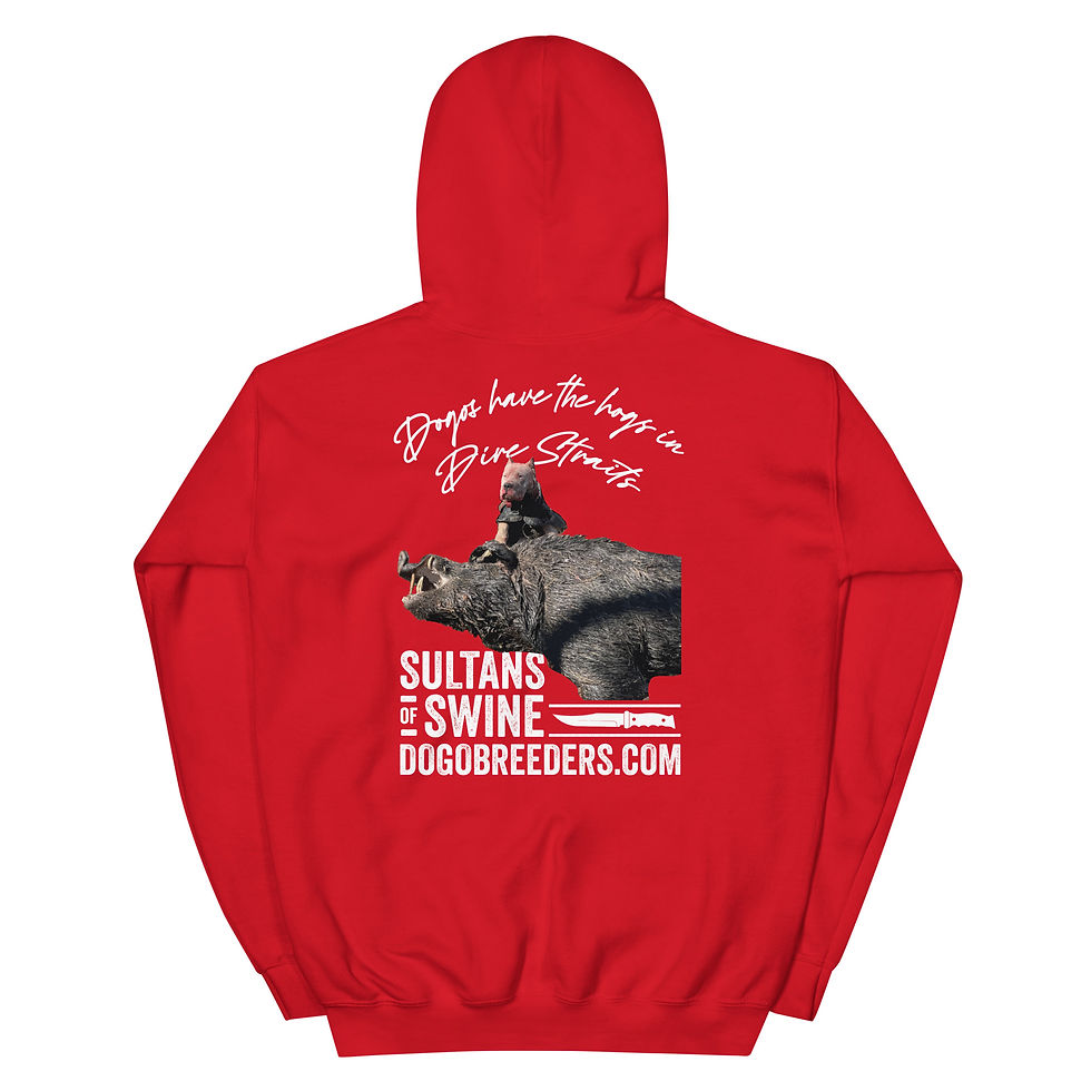Thumbnail: Sultans of Swine - Hoodie