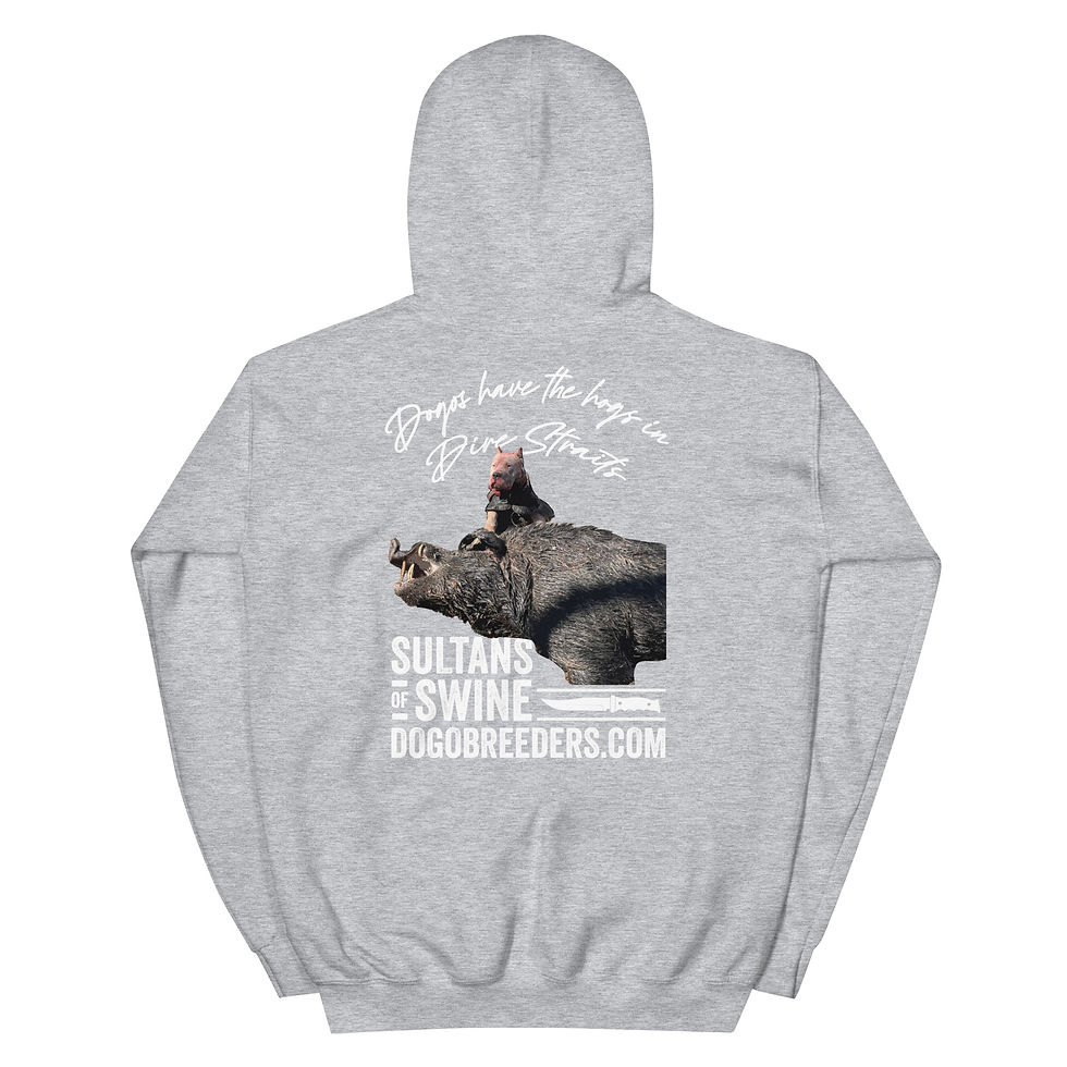 Thumbnail: Sultans of Swine - Hoodie