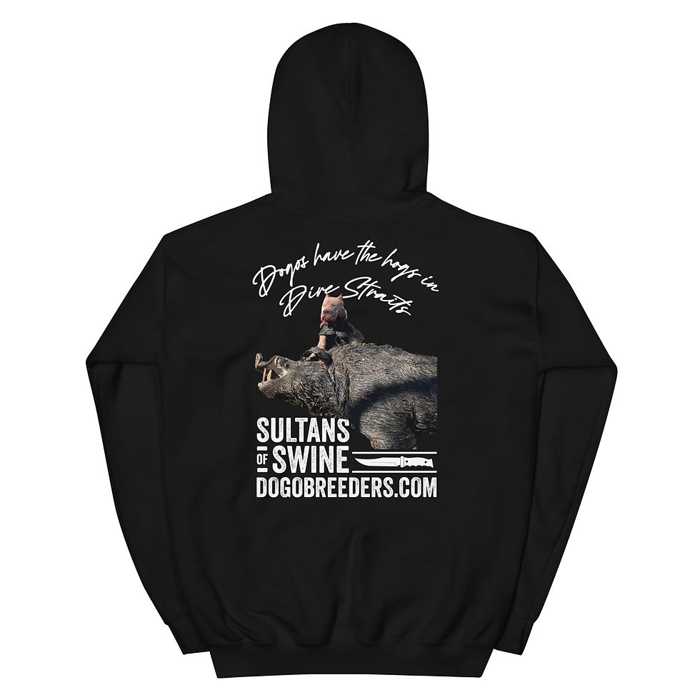 Thumbnail: Sultans of Swine - Hoodie