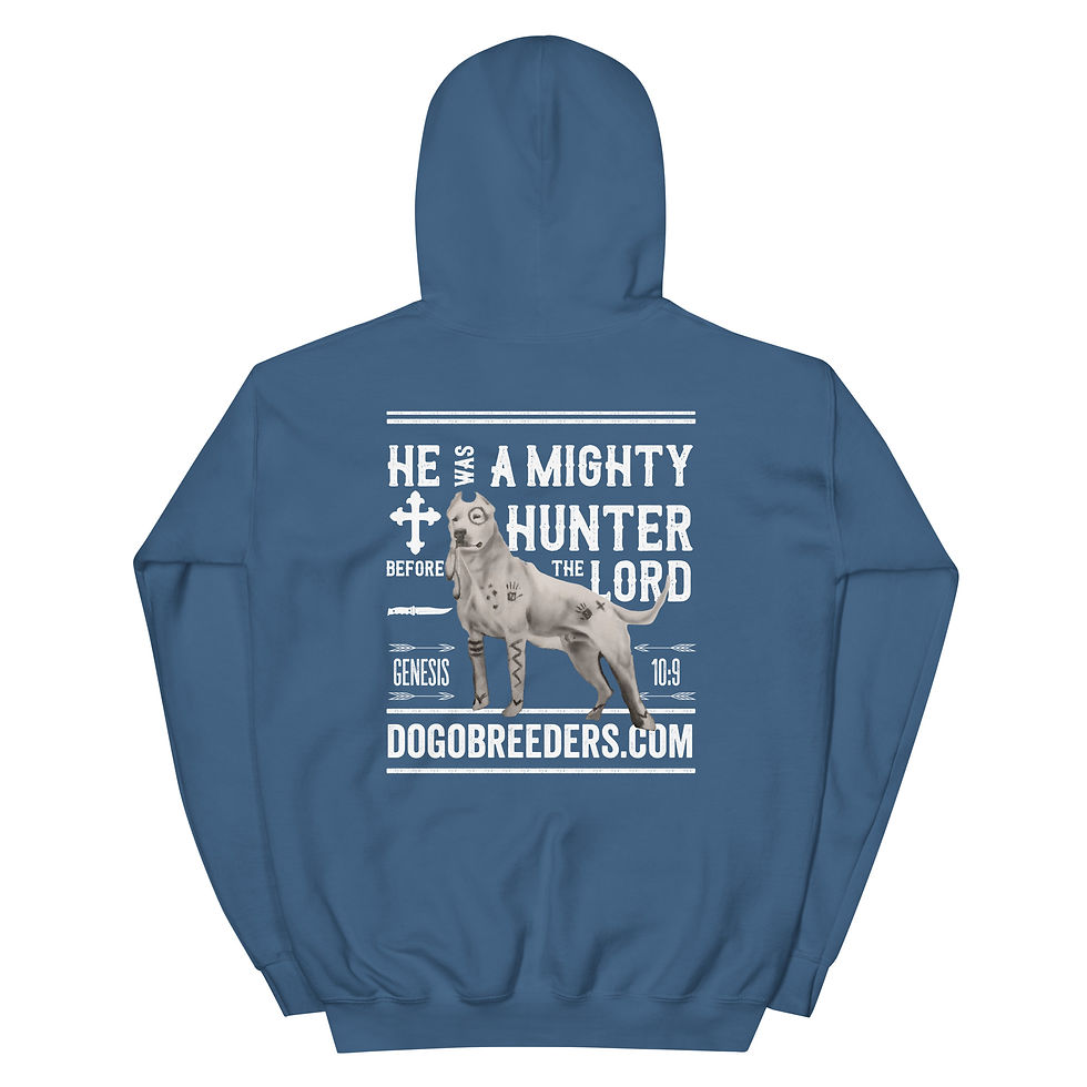 Thumbnail: Indian Dogo - Hoodie