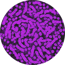 waveex cellule sang apres tel.png