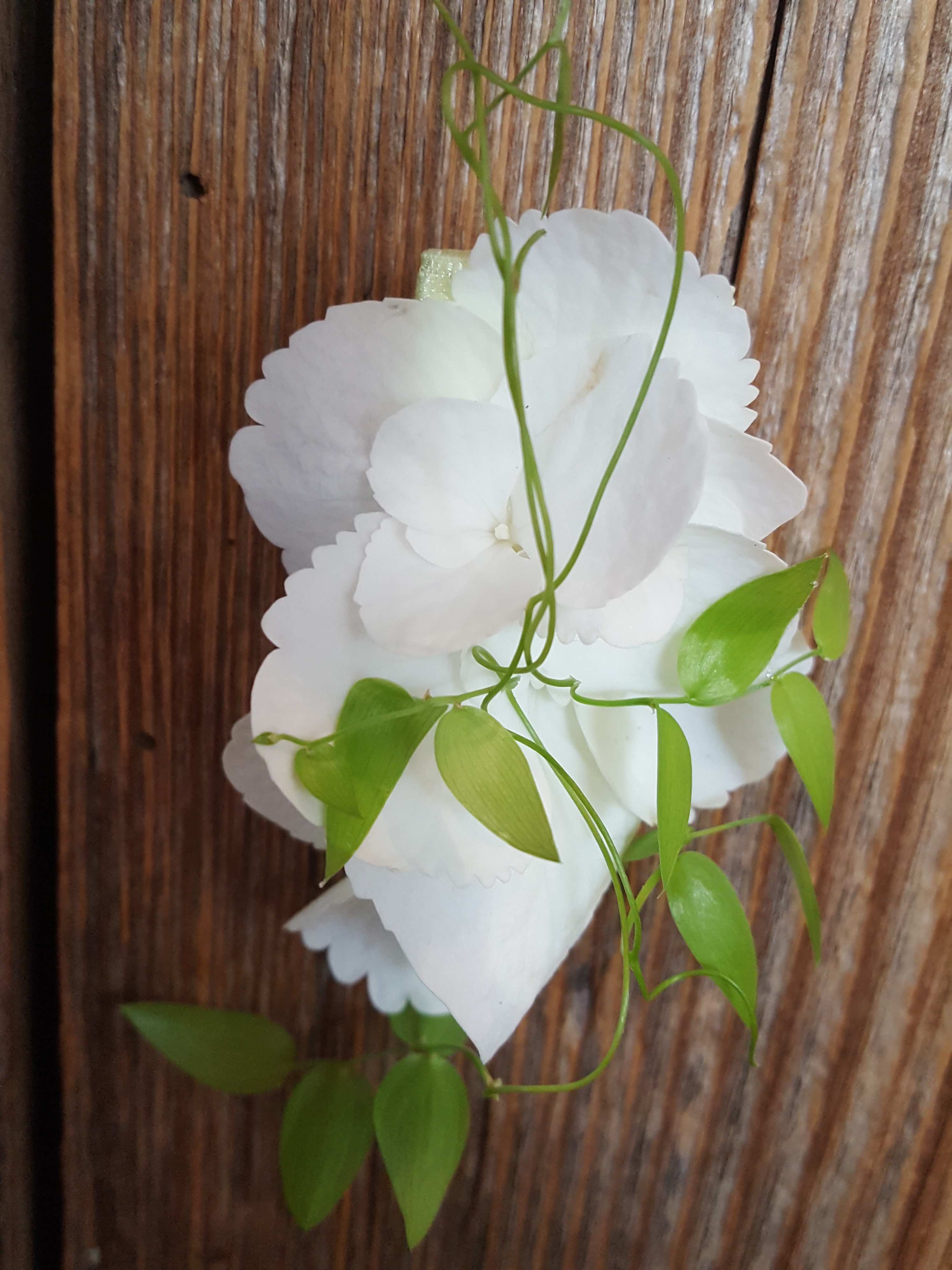 Anstecken aus Hortensie