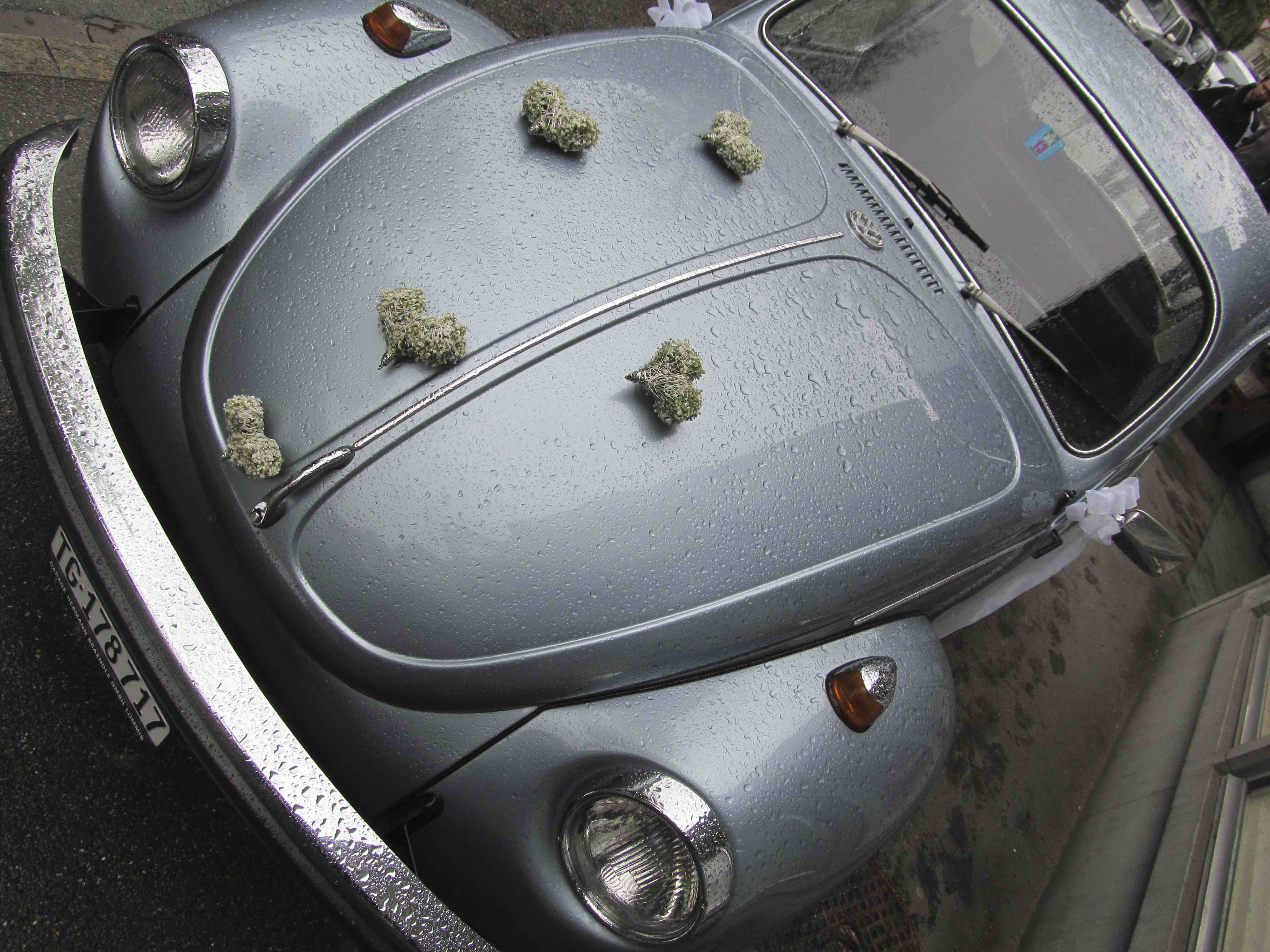 Autoschmuck