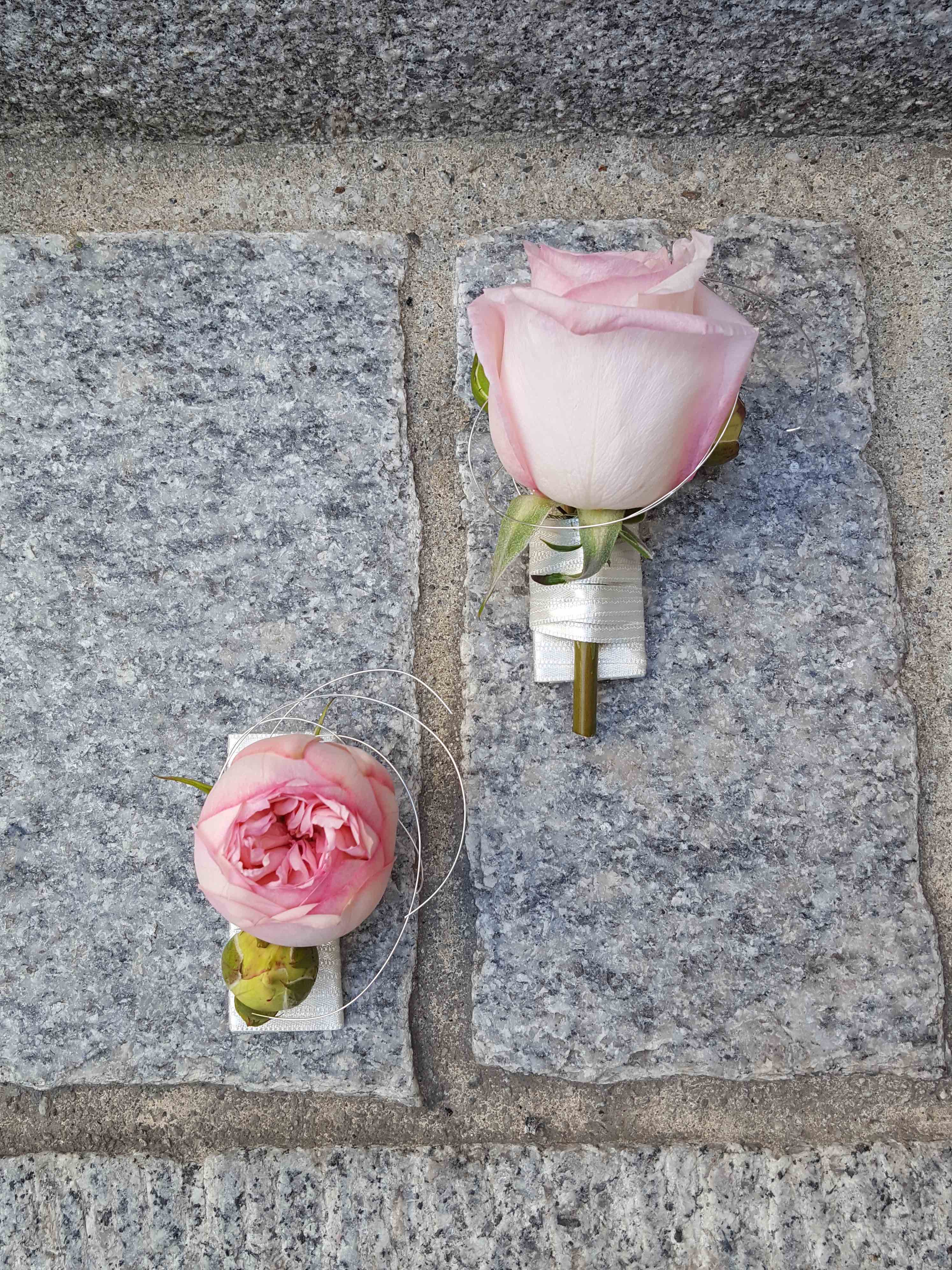 Anstecker