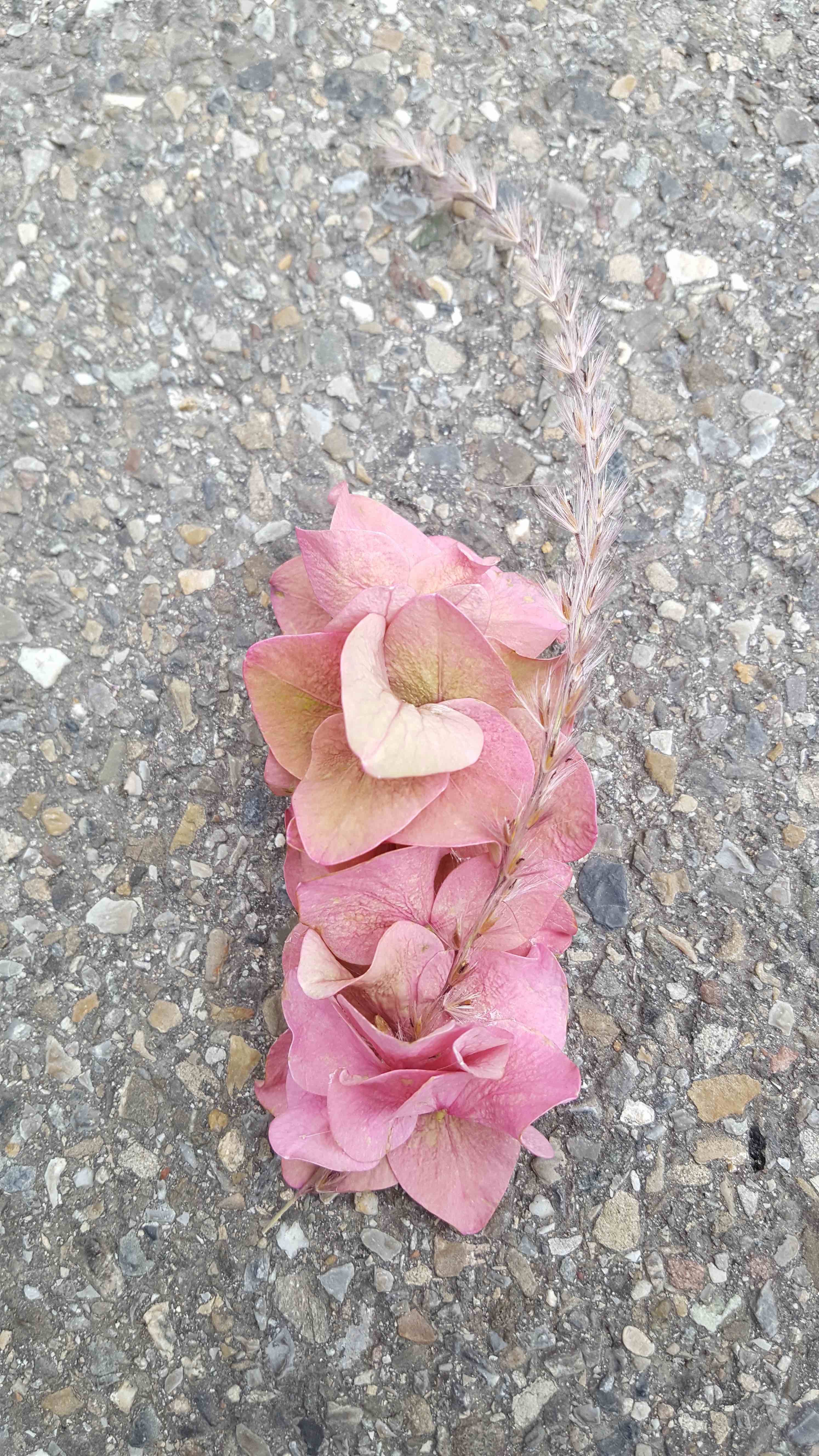 Anstecker Hortensie