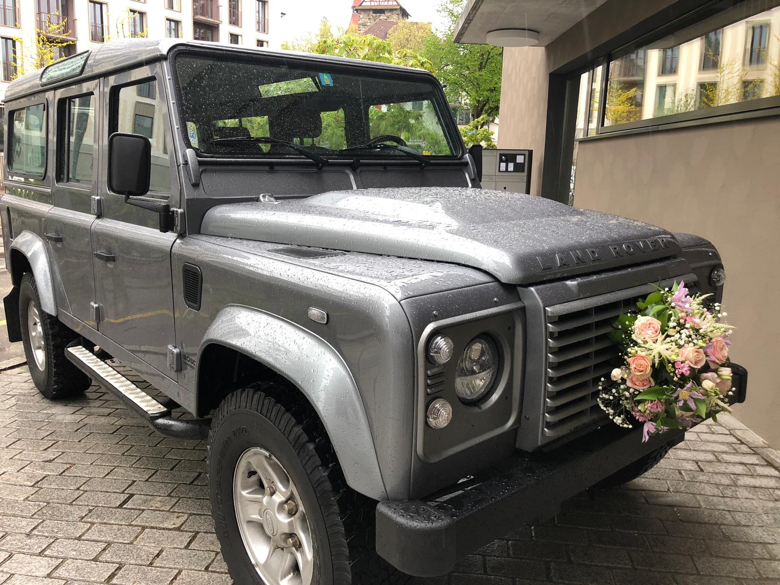 Autogesteck