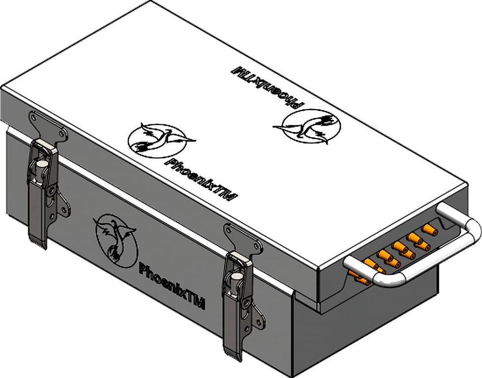 ภาพขนาดย่อ: PhoenixTM 10Ch Food Long Bake Temperature Profiling System