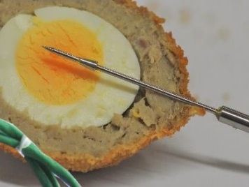 Thumbnail: PhoenixTM 10Ch Food Long Bake Temperature Profiling System