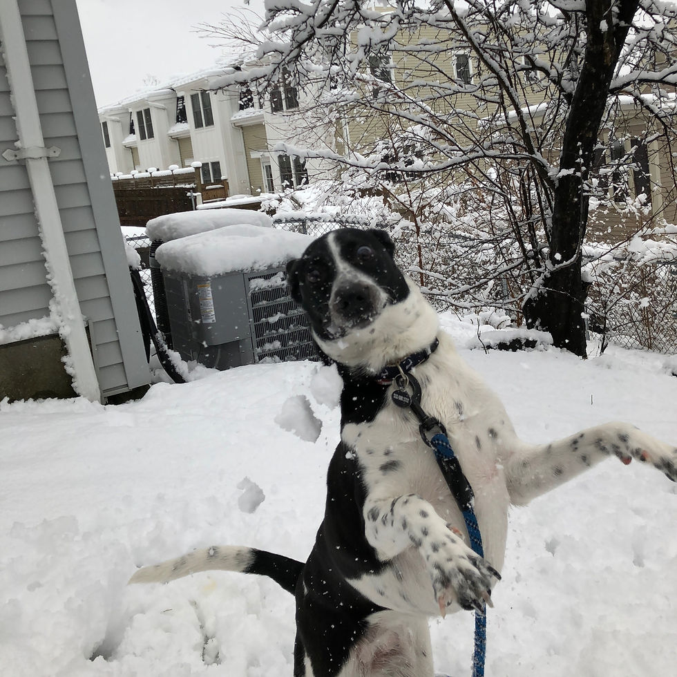 Derp Mcginny