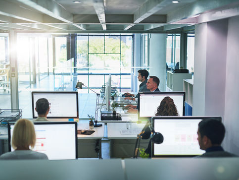 Pilot project to support directors with cyber security risk
