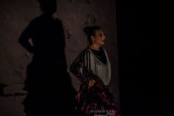 Cia. Flamenca la Lupi