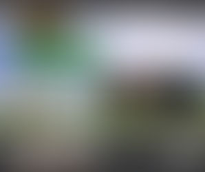 🌷 Spring Is Here! 🌷