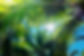 iStock-1136986464.jpg