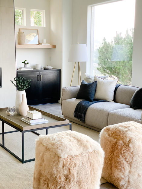 RENO LIVING ROOM 