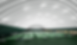 image (11).png