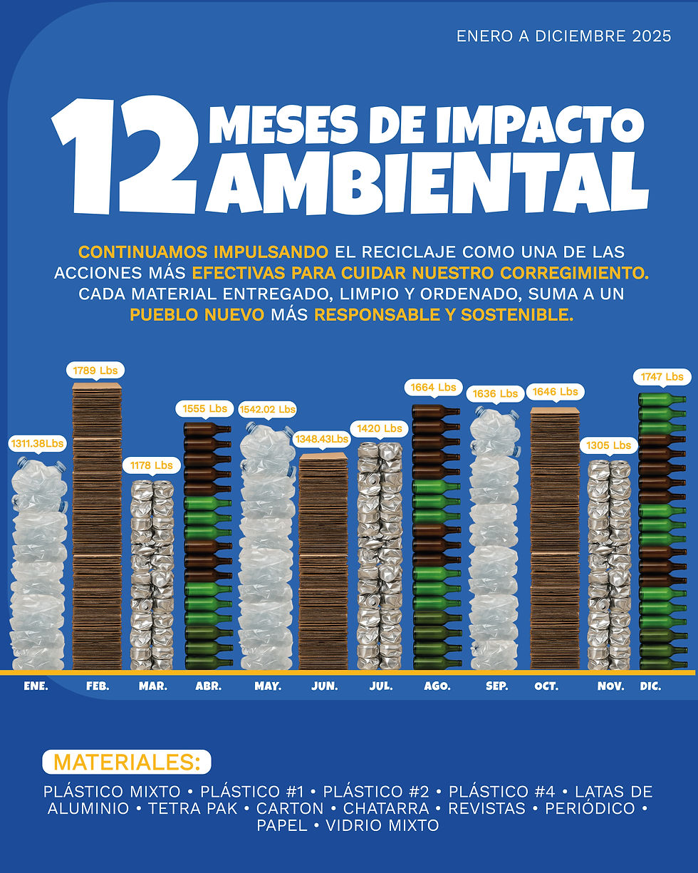 INFORME ANUAL 2025.-10.jpg