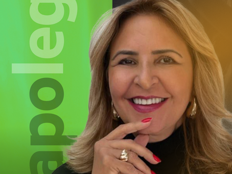 Palestra sobre Técnica Legislativa reúne vereadores(as) e servidores(as) em Juiz de Fora