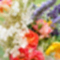 Colorful flowers