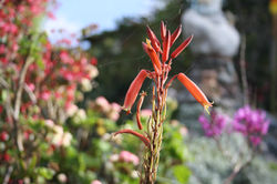 IMG_4668.JPG