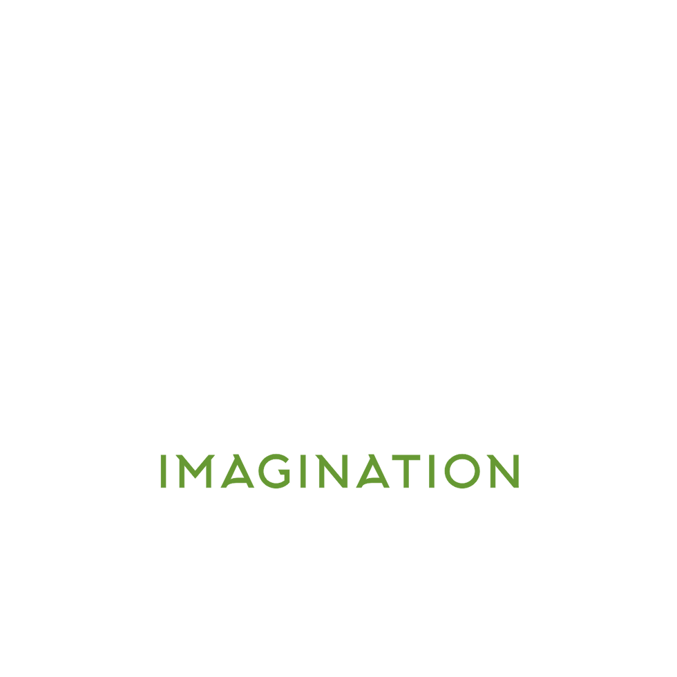 NED_logo_Branding_Imagination_05.png