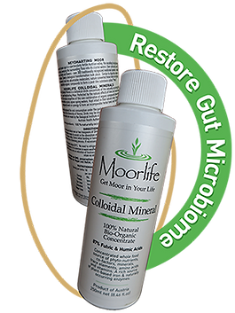 Moorlife_Colloidal_Mineral_Restore_Gut_Microbiome.png