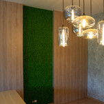 Mechová stěna - jarní zeleň