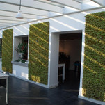 Mechové panely - Old green