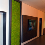 Mechová stěna - Spring green