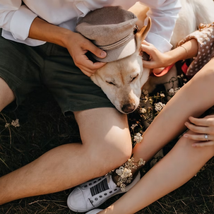 Can Animal-Assisted Therapy Actually Help You Heal?