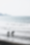 surf, sea, sand