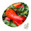 Miniaturbild: paprika ROTER AUGSBURGER