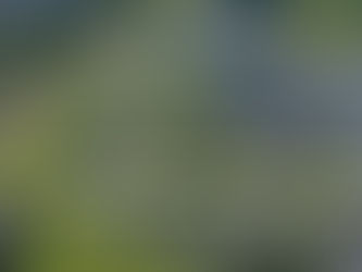 Großflächen-PV-Anlagen im Allgäu - eine kritische Analyse