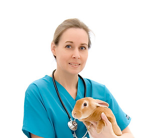 Vet
