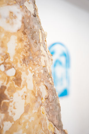 Les Pierres Sauvages_détail droite caramel fresque.jpg