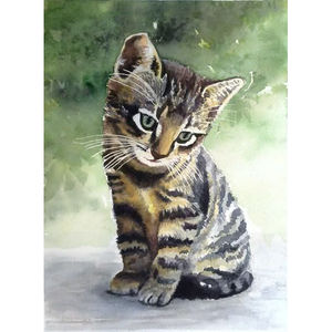 Kitten Portrait