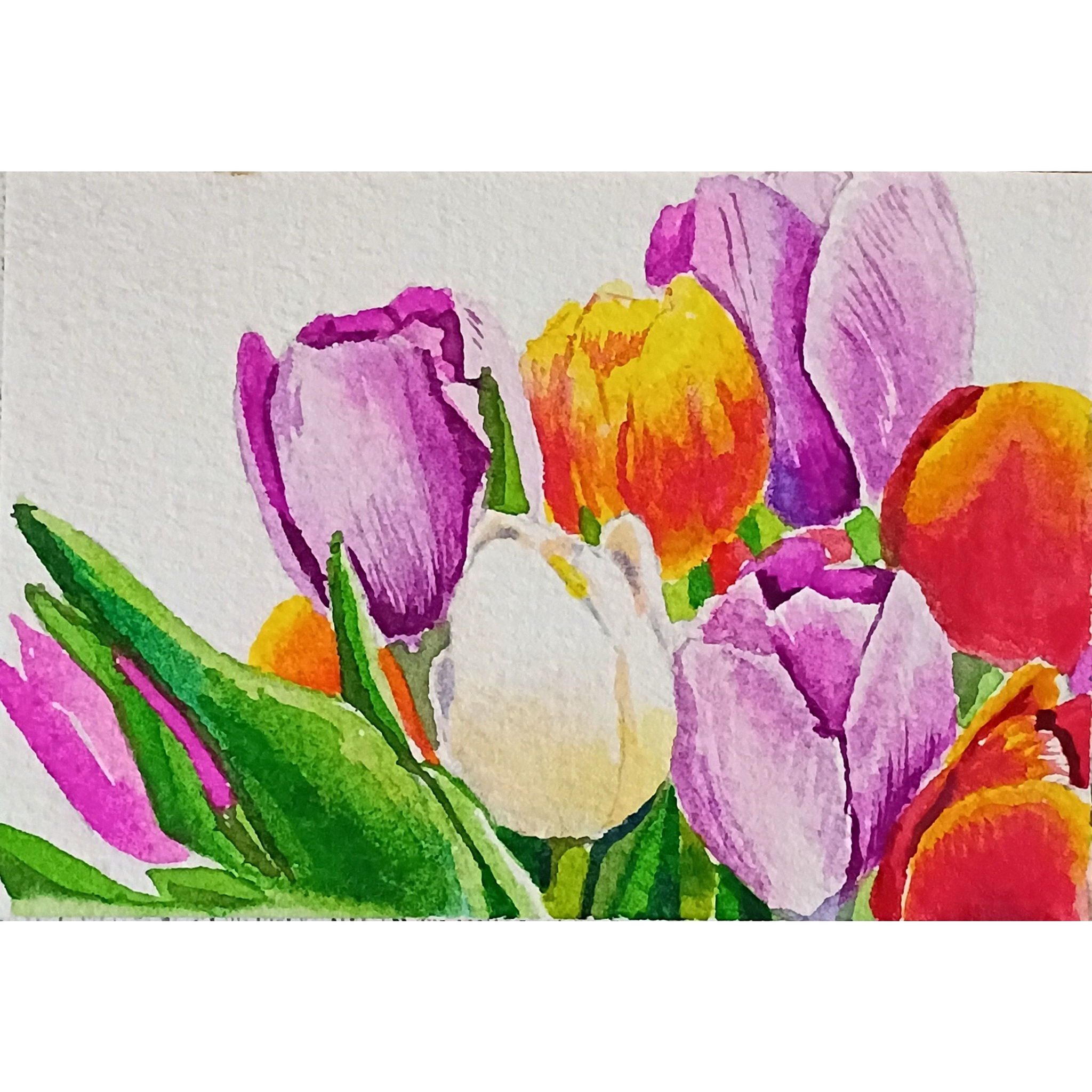 Spring Tulips Watercolor Painting Print