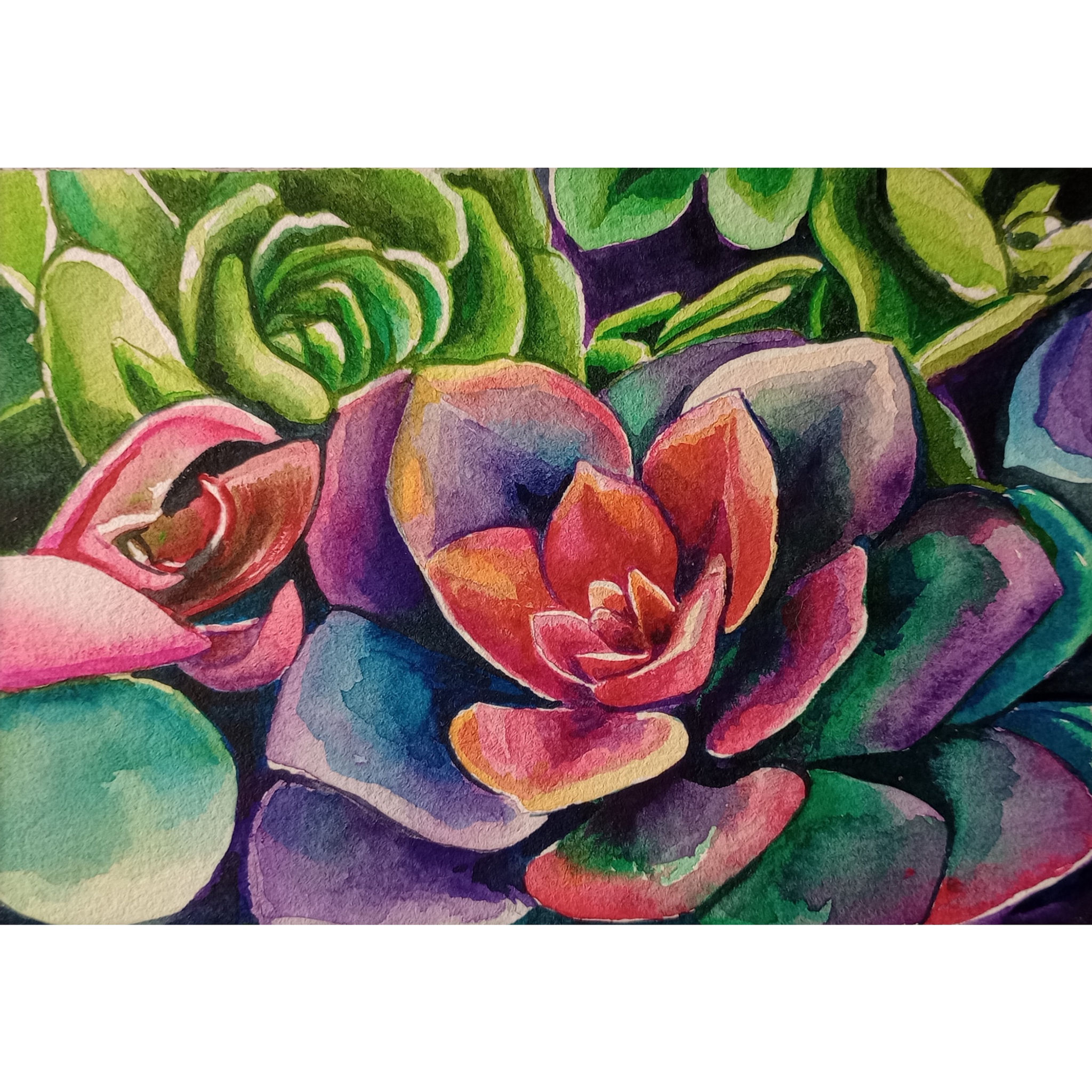 Colorful Succulents Original Watercolor Painting